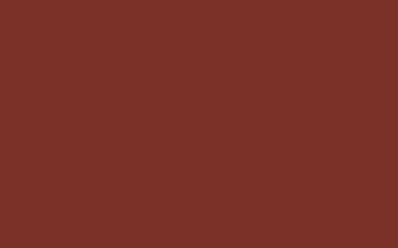 Brick polymer coating