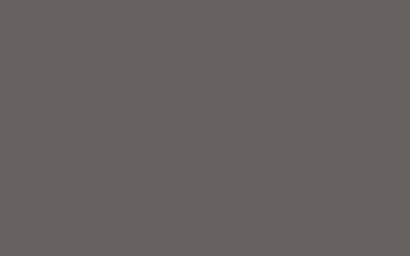 Taupe polymer coating